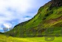 麻豆国产最新91精选-探寻麻豆国产最新91精选的独特魅力